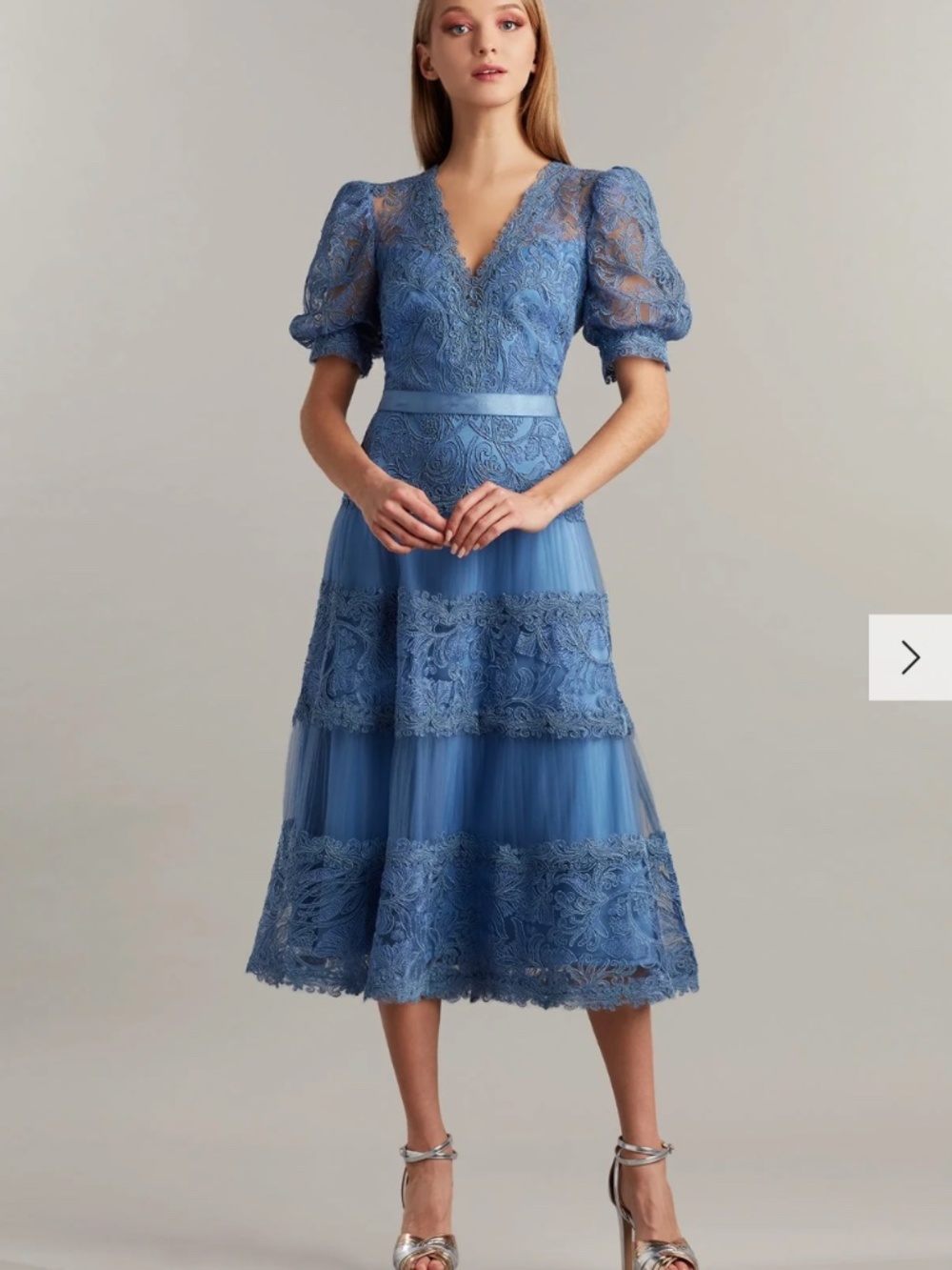 TADASHI SHOJI Fatiha Floral Lace & Chiffon Dress Size 4